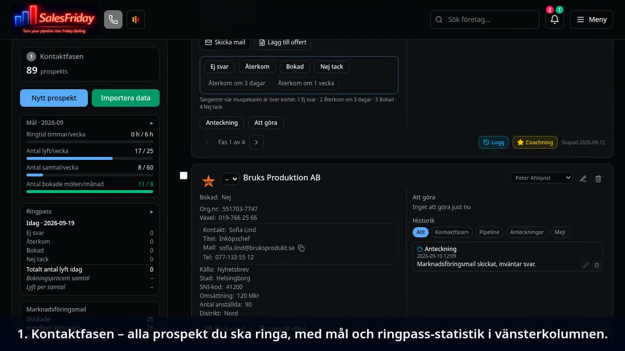Genomgång av SalesFriday